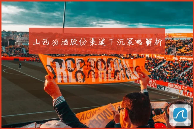山西汾酒股份渠道下沉策略解析