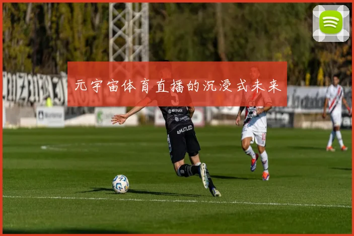 元宇宙体育直播的沉浸式未来