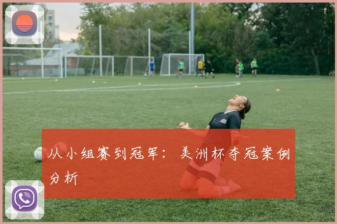 从小组赛到冠军：美洲杯夺冠案例分析