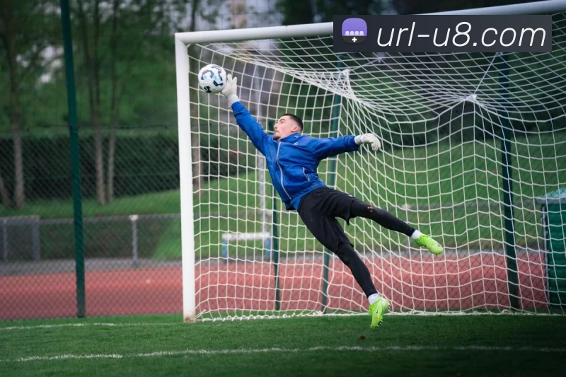 u8国际官网平台生态图