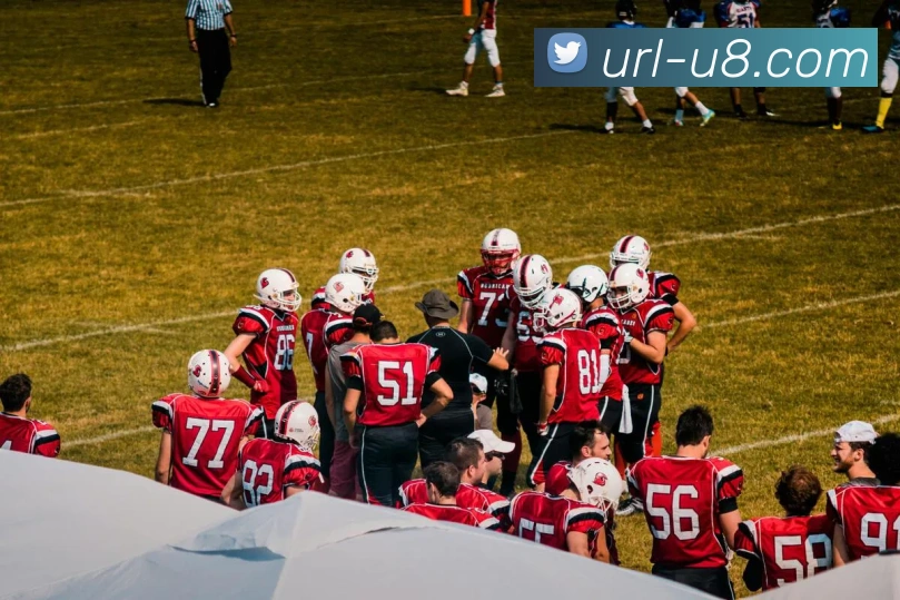 u8国际官网APP 封面图